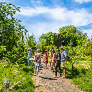 Visite Escapade Végétale