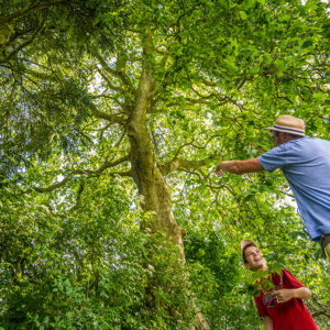 En Groupe & Scolaire - Visite du Domaine & Atelier ArboriFolia